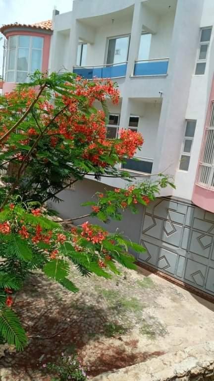 Maison Residencial Casa De Ferias Pedra Badejo  المظهر الخارجي الصورة