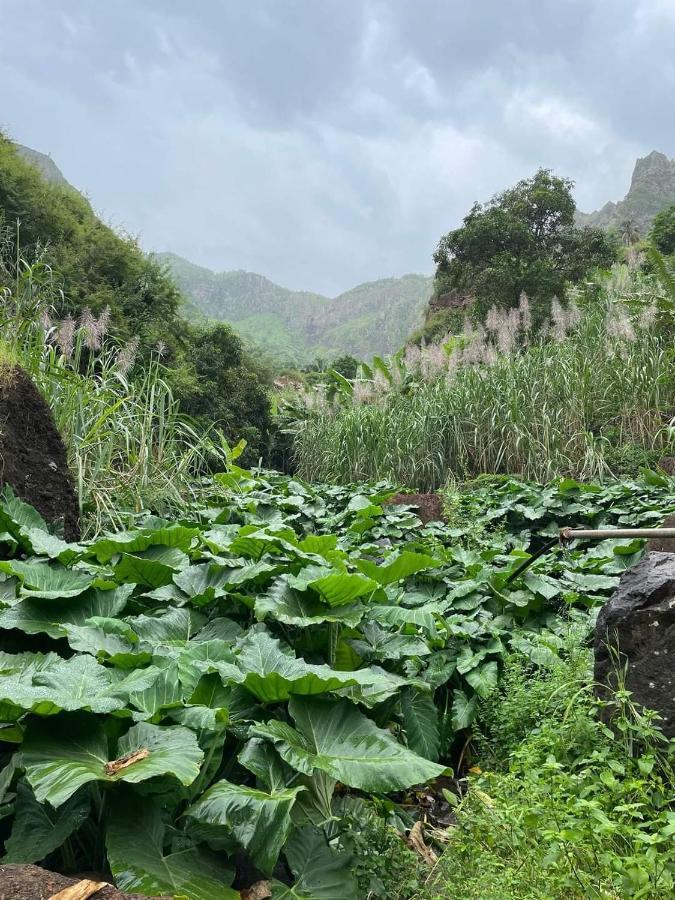 Maison Residencial Casa De Ferias Pedra Badejo  المظهر الخارجي الصورة